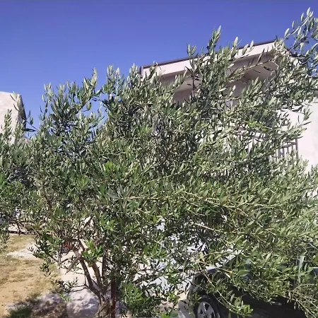 Apartment 'maslina' Trebinje