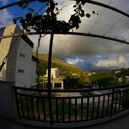 'maslina' Trebinje